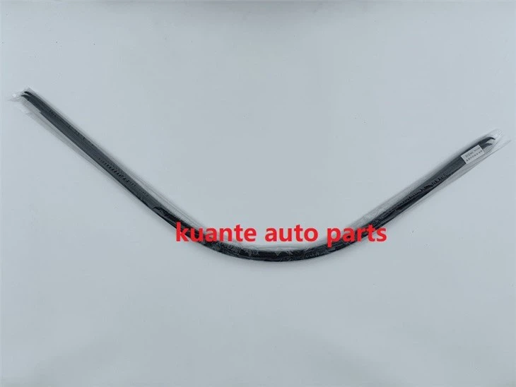auto roof edge strip